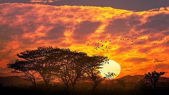 African Sunset, Kenia, landscape, trees, clouds, colors, sky, sun HD wallpaper