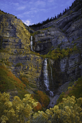 Nature, Trees, Bush, Rocks, Waterfall HD phone wallpaper