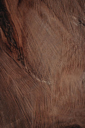 Wood, Tree, Texture, Textures, Brown, Surface, Rough HD phone wallpaper