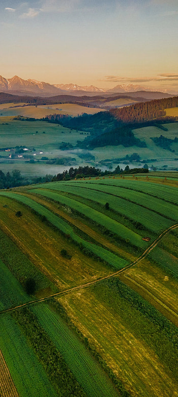 Nature, agriculture, sky HD phone wallpaper