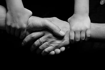 Monochrome of a child's and adult's hands clasped together symbolizing trust and connection. HD wallpaper