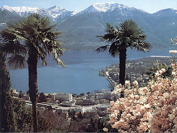 Locarno Switzerland, trees, switzerland, lake, mountain HD wallpaper