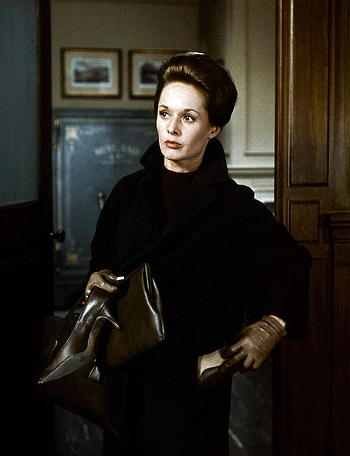 Alfred Hitchcock, Marnie, Hitchcock mania, New Yorker HD phone wallpaper