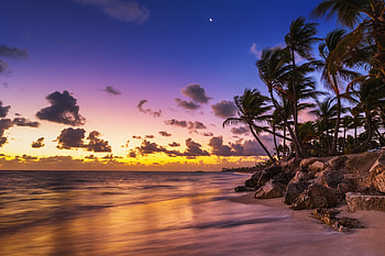 Beach, palm tree, Summer, Sunset, Paradise, Sea, Fantastic HD wallpaper