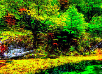 Green Land , graphy, wonderful, beauty, scenery, reflection, trees, , jungle, scene, landscape, beautiful, tree, lake, leaves, pretty, green, view, nature, leaf, lovely, forest HD wallpaper