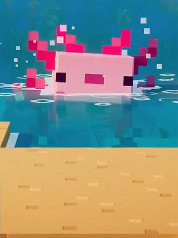 Axolot, aqua, magenta HD phone wallpaper