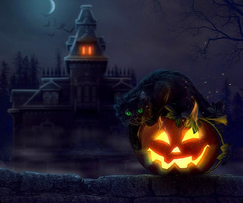 Halloween Black Cat, kitty, cats, cute, colors, paintings, digital art, dark, creative pre-made, pumpkins, love four seasons, halloween, pretty, animals, lovely HD wallpaper