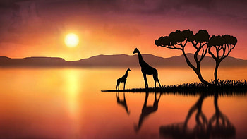 Giraffe , 2022, Live painting HD wallpaper