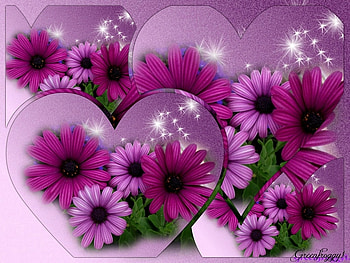 PURPLE DAISIES, PURPLE, DAISIES, , HEARTS HD wallpaper