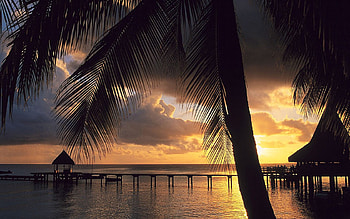 Tropical Scenery, palms, skies, tropical, sunrise, walkway, tree, beach, nature, sunset HD wallpaper