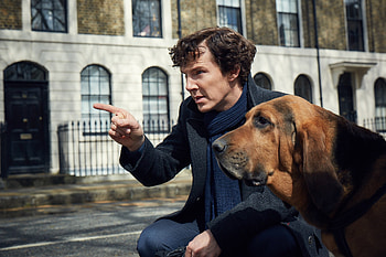 Sherlock Season 4, benedict-cumberbatch, sherlock, tv-shows, dog HD wallpaper