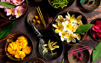 Flowers, Background HD wallpaper