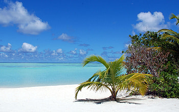 Nature, Sky, Sand, Palm HD wallpaper