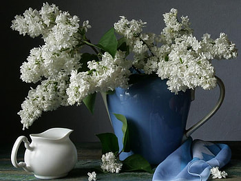 White Flowers in a Blue Pitcher, table, blue handkerchief, sugar cup, blue pitcher, white flowers HD wallpaper