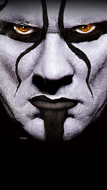 Steve Borden, Wrestling HD phone wallpaper