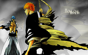 Hollow Rivalry, bleach, ichigo, anime, grimmjow, espada, soul reaper, vizard HD wallpaper