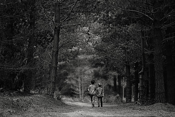 Children, Miscellanea, Miscellaneous, Forest, Stroll, Bw, Chb, Friends HD wallpaper