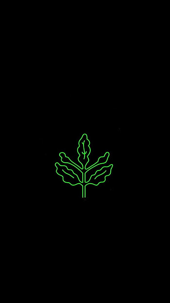 Fenerbahce, symbol, art HD phone wallpaper