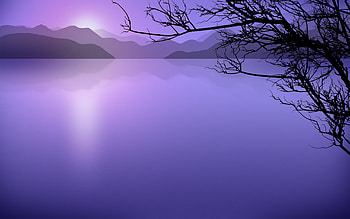 Landscape, Trees HD wallpaper