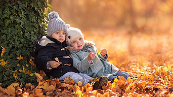 Cute Two Little Boys Are Sitting On Dry Leaves In Green Leaves Background Wearing Woolen Knitted Dress In Blur Bokeh Background Cute HD wallpaper