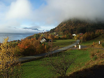 Norway Farm, fields, farm, misty, norway, ocean HD wallpaper