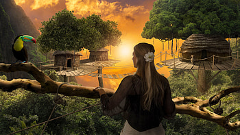 Rain Forest, digital, bird, fantasy, art, pretty, girl, woman, sunset HD wallpaper