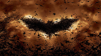 Batman Begins Bat Symbol, batman, superheroes HD wallpaper