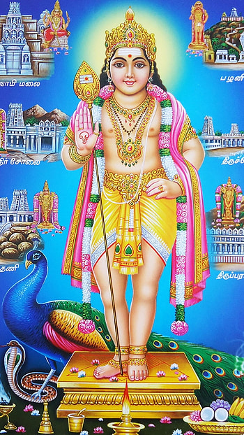 Thiruchendur Murugan, Hindu God HD phone wallpaper