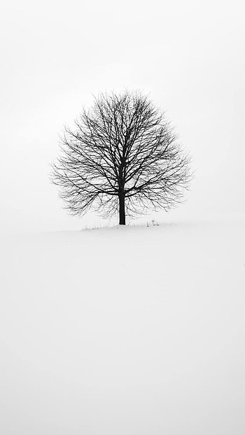White and black wellpeper, nc vlogs nalbari, dimpus vlogs HD phone wallpaper