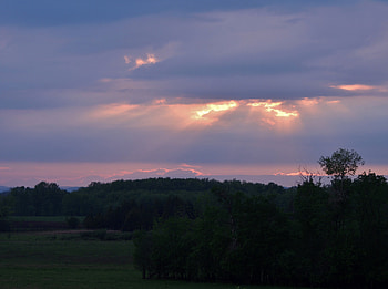 Sun Rays, graphy, Grass, Trees, Field, Nature, Clouds, Sky HD wallpaper