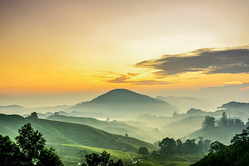 Mountain, Tea Plantation, , Cloud, Sky, Sunset HD wallpaper