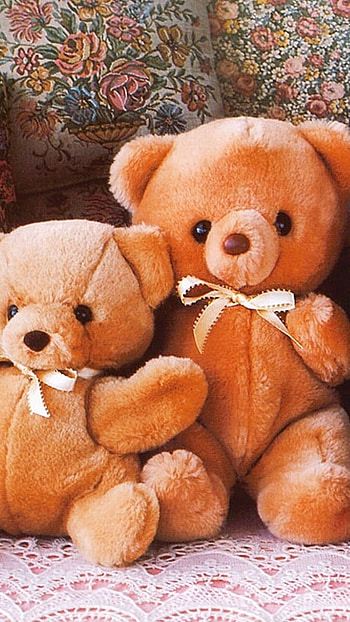 Teddy Bear Ke, Beautiful HD phone wallpaper