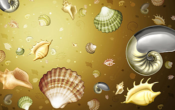 Background, Shells, Texture, Textures, , Drawing, Color HD wallpaper