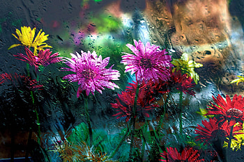 Flowers Behind Glass Drops, flowers, drops, glass, graphy HD wallpaper