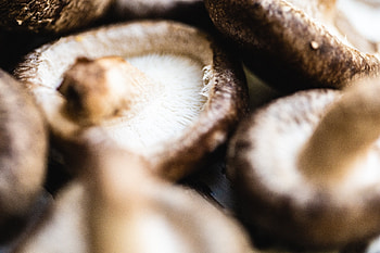 Fresh shiitake mushrooms, Organic produce, High-quality ingredients, Farm-to-table goodness HD wallpaper