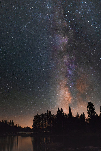 Nature, Trees, Night, Lake, Starry Sky HD phone wallpaper