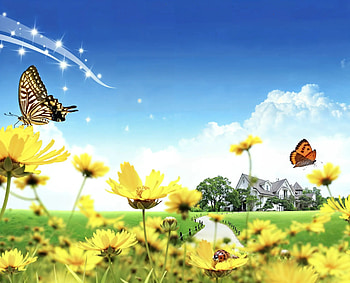Frutiger Aero Butterfly - Serene Meadow with Bright Yellow Flowers, Frutiger Aero, butterfly HD wallpaper