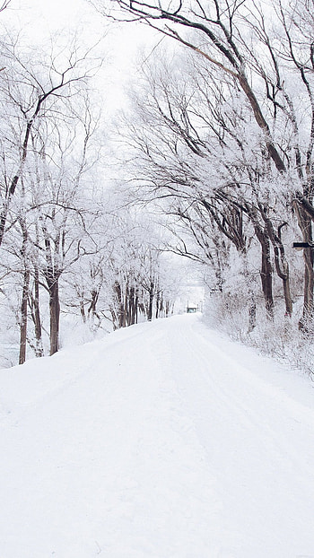 Romantic, snow way HD phone wallpaper