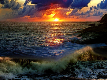 Weird fishes, fishes, nature, weird, sunset HD wallpaper