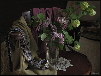 still life & cat, chear, art , white, clouth, black, cat, nice, glass vase, flowers, lilac HD wallpaper