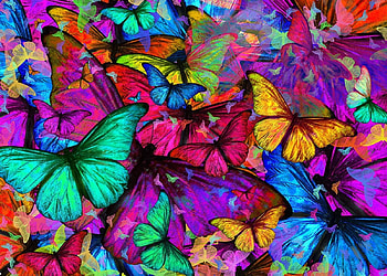 Butterfly explosion, butterfly, alexandra mullins, colorful, art, texture, pattern HD wallpaper