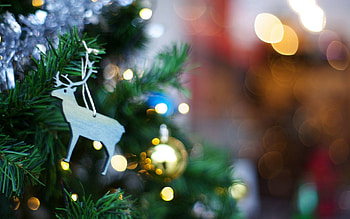 Holidays, Holiday, Toy, Fir, Christmas Tree HD wallpaper