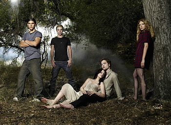 Twilight movie, backgrounds HD wallpaper