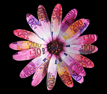Flower, petals, daisy, digital art, euro, abstract HD wallpaper