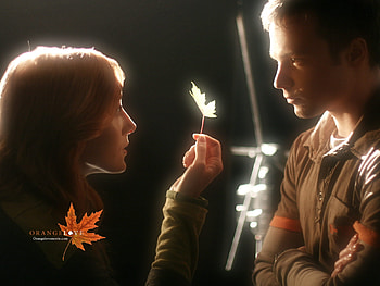 orANGELove, 1600x1200, orange, russian, love HD wallpaper