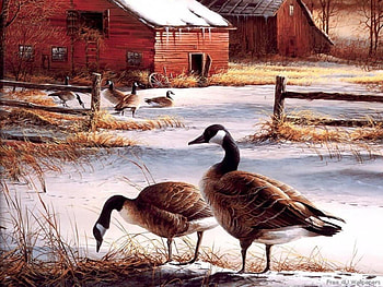 Family Geese, art, family, animals, snow, nature, geese HD wallpaper