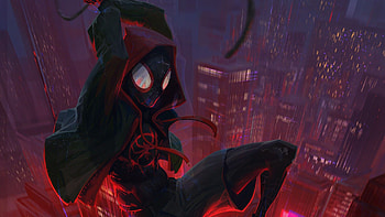Miles Morales, Spider Man: Into The Spider Verse, Movie, Spider Man HD wallpaper