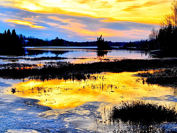 Golden River at Sunset, blue, river, golden, dawn, wood, clouds, nature, sky, water, sunset HD wallpaper