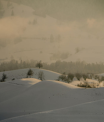 Landscape, Winter, Nature, Trees, Snow, Hills HD phone wallpaper