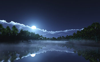 Full moon, reflection, cold night, tropical, starry sky HD wallpaper